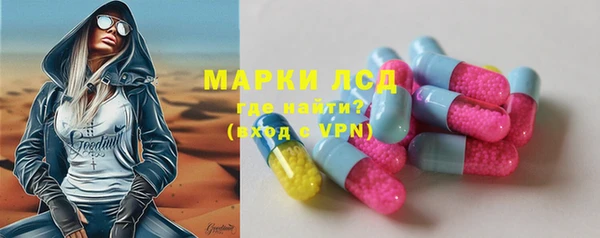 apvp Алексин