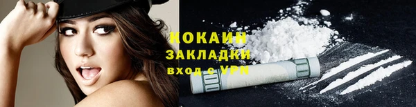 гашик Осинники