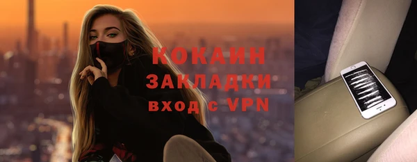 гашик Осинники