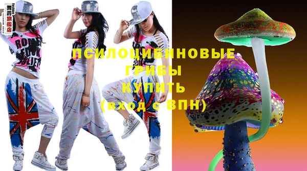 гашик Осинники