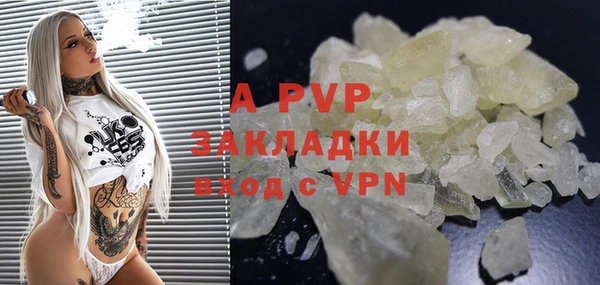 apvp Алексин